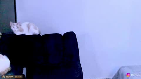 miguel  online show from 11/24/25, 03:06