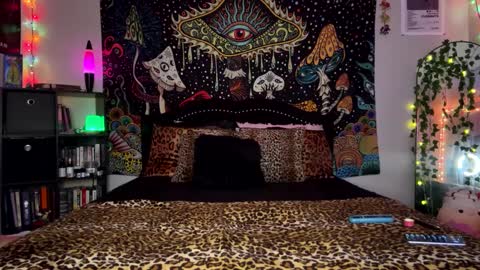 Puddin online show from 12/16/24, 06:53