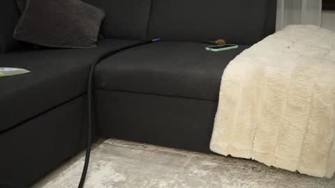 Snapshot of brandiloveee chatting on 12/11/24, 09:01 Brandi online show from 12/11/24, 09:01