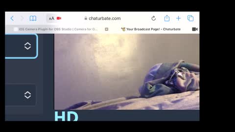 MANTE online show from 11/20/25, 02:34