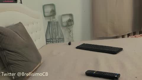 Brelland online show from 02/17/25, 01:32