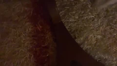 Brian boy online show from 10/28/25, 03:25