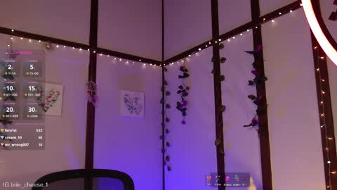 Snapshot of brie_cheese1 chatting on 02/12/25, 08:07 Brie Ill be away November 2829 and 30. See u on Sunday for more fun online show from 02/12/25, 08:07