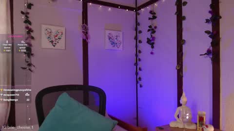 Snapshot of brie_cheese1 chatting on 02/20/25, 08:14 Brie Ill be away November 2829 and 30. See u on Sunday for more fun online show from 02/20/25, 08:14