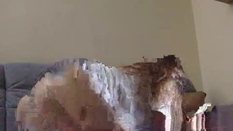 Snapshot of brutecia chatting on 09/16/25, 06:42 brutecia online show from 09/16/25, 06:42