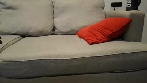 Snapshot of buck_camstar chatting on 09/23/25, 02:42 Buck online show from 09/23/25, 02:42