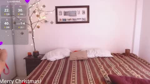 Snapshot of buckwheat_queen chatting on 12/25/24, 09:54 Mira online show from 12/25/24, 09:54