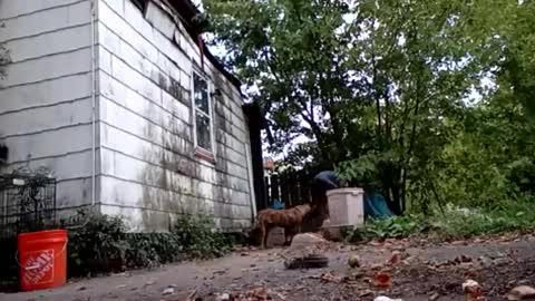 buddylovex online show from 10/06/25, 10:18