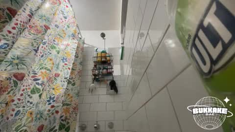 bukkakebae online show from 09/11/25, 08:20