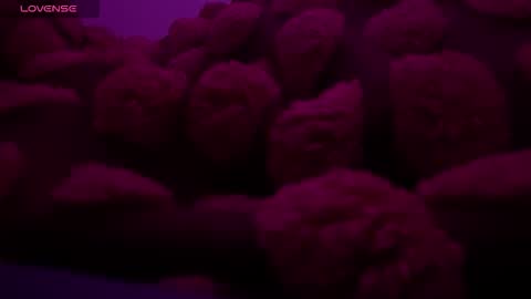 bukkakebae online show from 11/15/25, 12:30