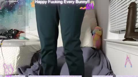 Snapshot of bunnycheekz chatting on 12/12/24, 02:37 Tokki bunny online show from 12/12/24, 02:37