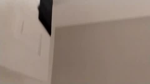 BunnyXPurry online show from 11/15/25, 05:05