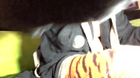 Snapshot of camelion90 chatting on 03/02/25, 06:08 Marco online show from 03/02/25, 06:08