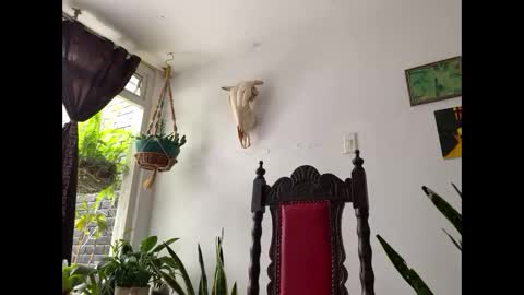  Camille   online show from 11/08/25, 02:39