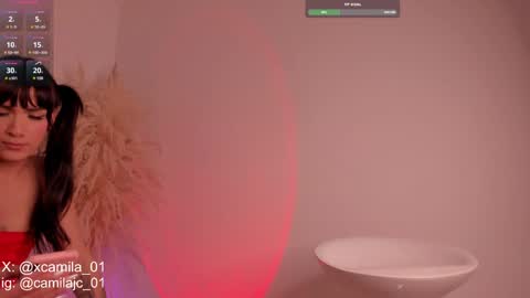 Snapshot of cammile_cole chatting on 12/15/24, 04:07 Laura Camila online show from 12/15/24, 04:07