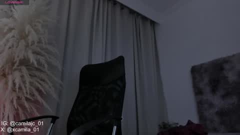 Snapshot of cammile_cole chatting on 02/01/25, 11:48 Laura Camila online show from 02/01/25, 11:48