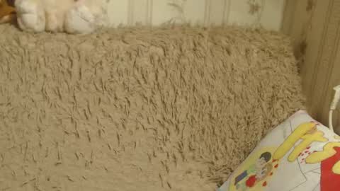 Snapshot of candylady13 chatting on 01/19/25, 03:53 say meow and send tips online show from 01/19/25, 03:53