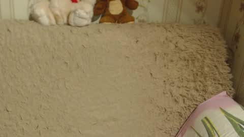 Snapshot of candylady136 chatting on 12/13/24, 05:21 say meow and send tip  online show from 12/13/24, 05:21