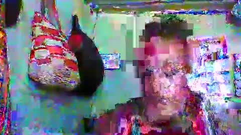 carinesexy69 online show from 01/20/25, 10:40