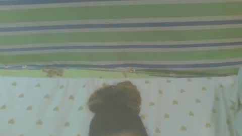 carinesexy69 online show from 10/31/25, 10:16