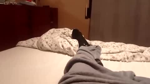 carlitito1 online show from 10/06/25, 07:17