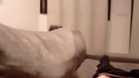 carlitito1 online show from 10/30/25, 05:35