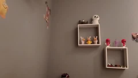 carlitito1 online show from 11/19/25, 07:52