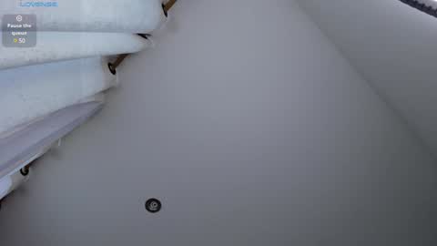 carolina_t online show from 12/01/24, 09:48