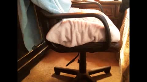 Cashew online show from 12/25/24, 08:28