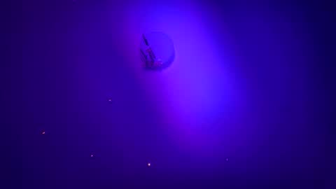 Snapshot of casidy1 chatting on 01/21/25, 06:00 casidy1 online show from 01/21/25, 06:00