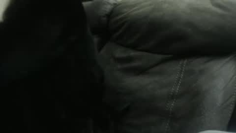 Snapshot of casidy1 chatting on 01/23/25, 10:32 casidy1 online show from 01/23/25, 10:32