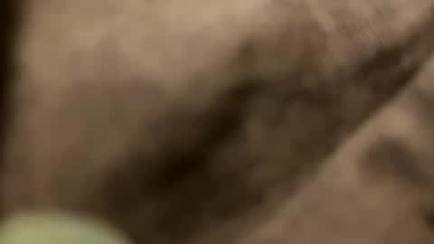 Snapshot of casidy1 chatting on 02/02/25, 11:21 casidy1 online show from 02/02/25, 11:21