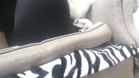 Snapshot of cassandra_joy chatting on 02/18/25, 03:43 Cassandra joy online show from 02/18/25, 03:43