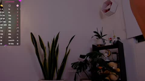 Snapshot of catalella_01 chatting on 01/06/25, 11:52 MACARENA online show from 01/06/25, 11:52
