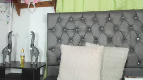 Snapshot of catalina_ada chatting on 02/15/25, 06:44 catalina ada online show from 02/15/25, 06:44