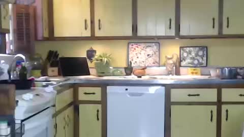 CATALYSTIC online show from 10/12/25, 03:33