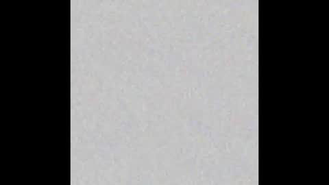 Celine online show from 11/01/25, 09:17