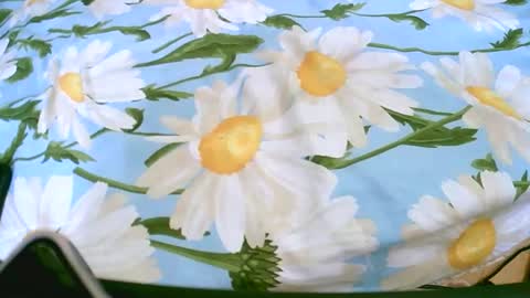 cerminah online show from 11/19/25, 01:11