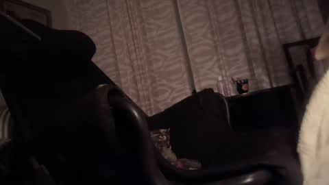 cfnmfriendly online show from 10/23/25, 04:06