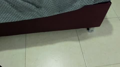 Charlott online show from 12/13/24, 07:43