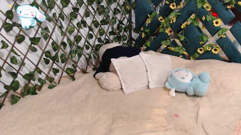 charly_evans60 online show from 02/19/25, 12:14