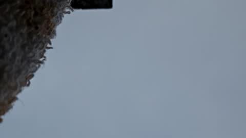 cheffydl online show from 11/09/25, 12:47