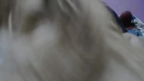 Cheila online show from 11/17/25, 02:23