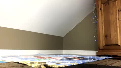 Snapshot of chenovich chatting on 01/04/25, 01:42 chenovich online show from 01/04/25, 01:42