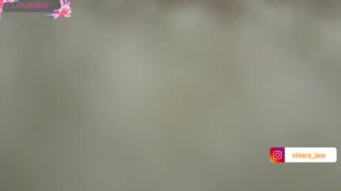 Snapshot of chiaretta99 chatting on 12/12/24, 05:48 Chiara Lovense is active Pvt open online show from 12/12/24, 05:48