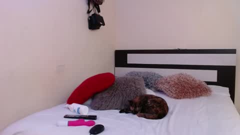 Snapshot of chikandela chatting on 01/04/25, 01:52 Valentina online show from 01/04/25, 01:52