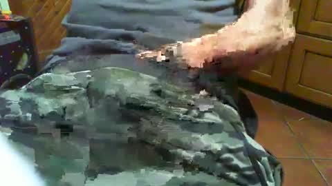 Snapshot of ciop1962 chatting on 12/02/24, 07:05 ciop1962 online show from 12/02/24, 07:05