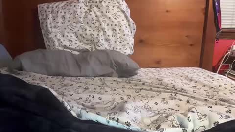 Snapshot of cjallday1424 chatting on 03/03/25, 03:41 cjallday1424 online show from 03/03/25, 03:41