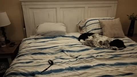 Snapshot of cking14340730238 chatting on 10/10/25, 07:40 KingDing online show from 10/10/25, 07:40