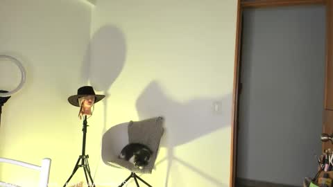 Snapshot of claudiarivera_1 chatting on 10/31/25, 01:06 Claudia Rivera online show from 10/31/25, 01:06